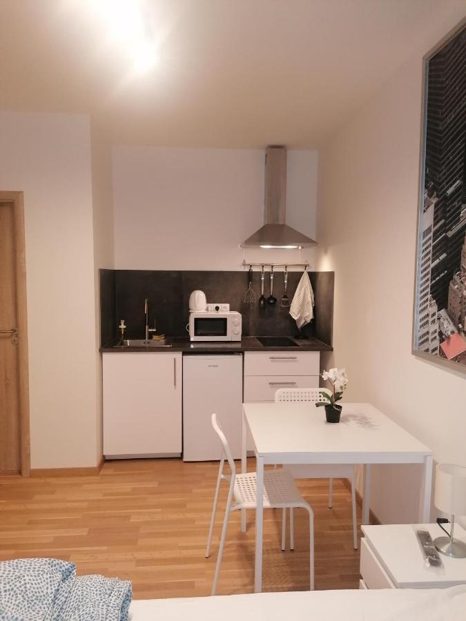 Studio Brand New Apartment #28 In New Building With Free Parking In City Center プラハ エクステリア 写真